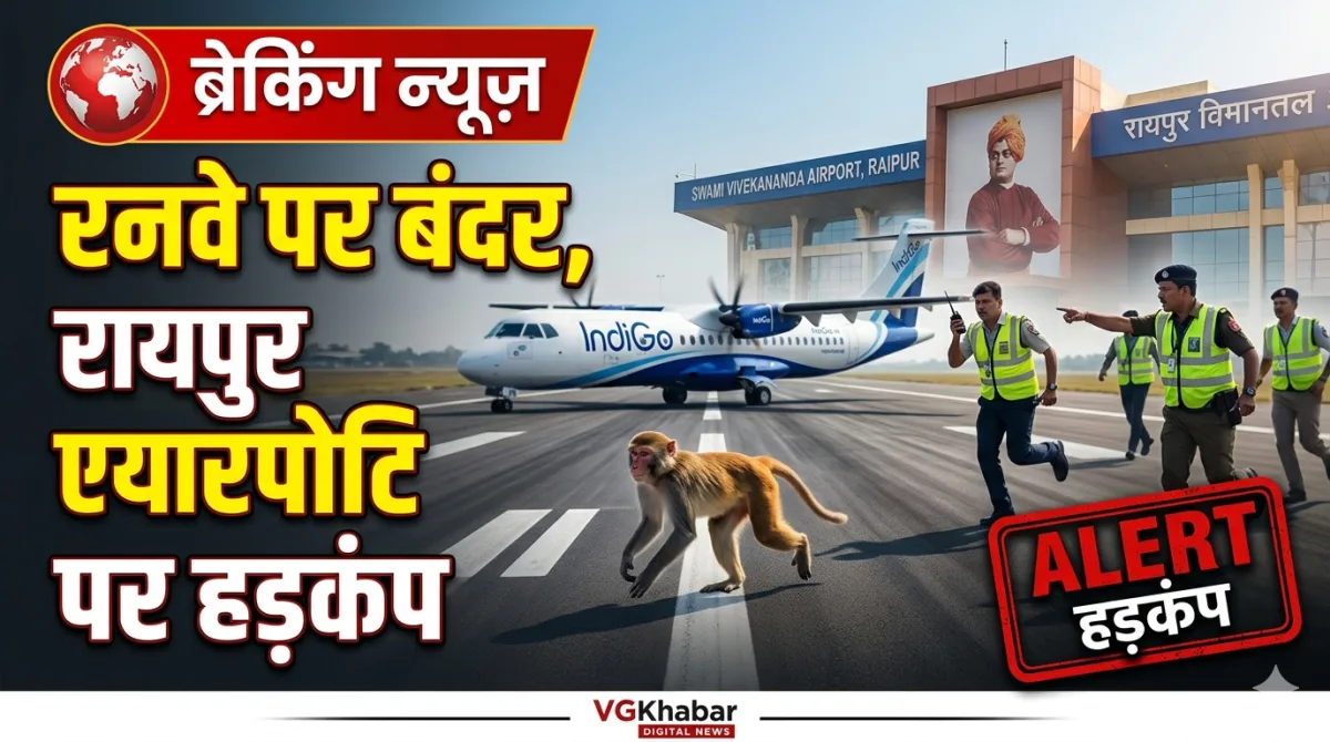 रनवे पर बंदर, रायपुर एयरपोर्ट पर हड़कंप