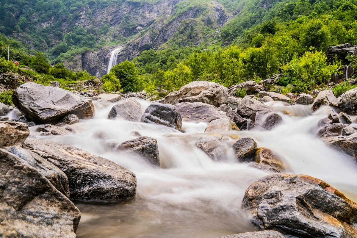 मध्य भारत की हरियाली, वनस्पति और प्राकृतिक सौंदर्य