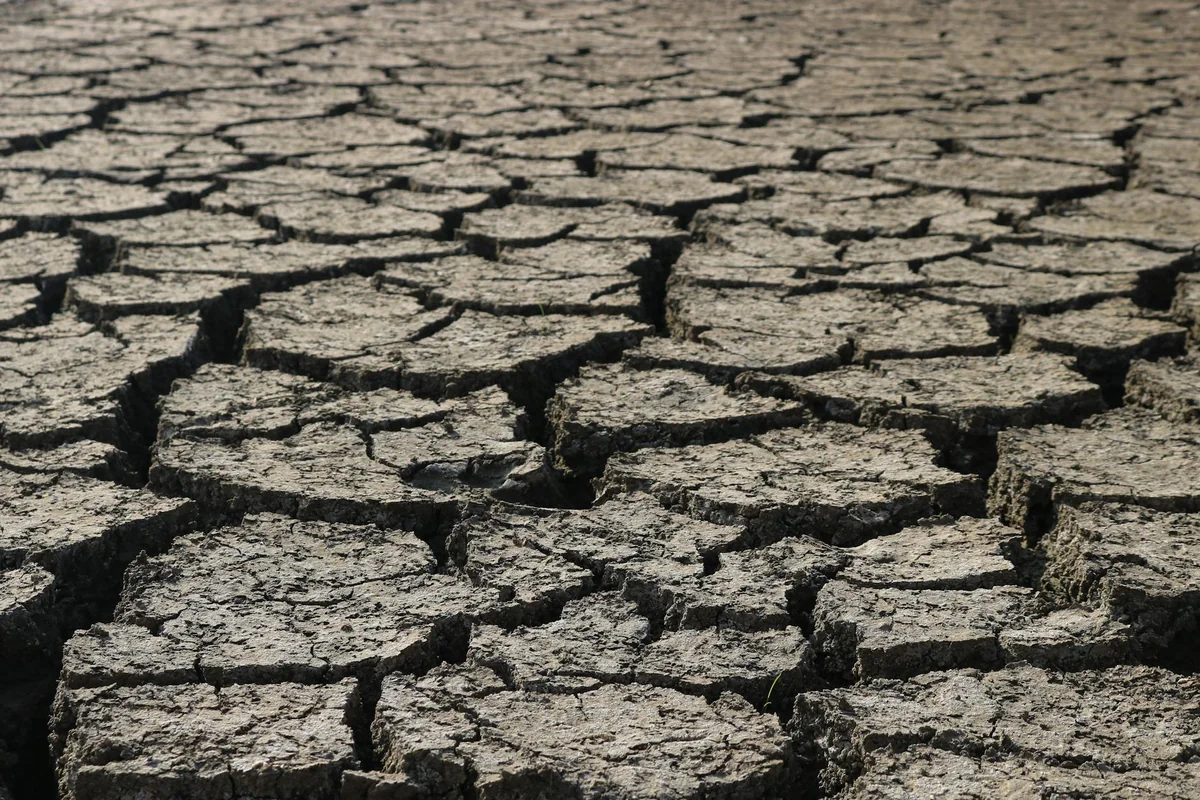 थार के रेत के टीले और तपती दोपहर