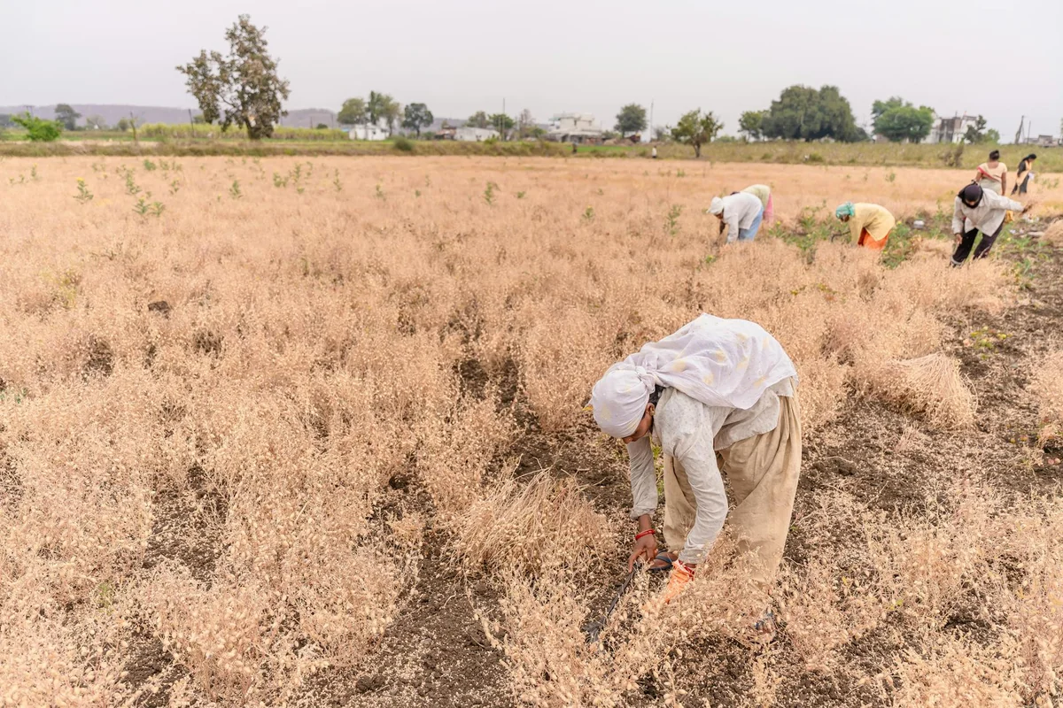 भारत के देहाती क्षेत्र की गर्मी