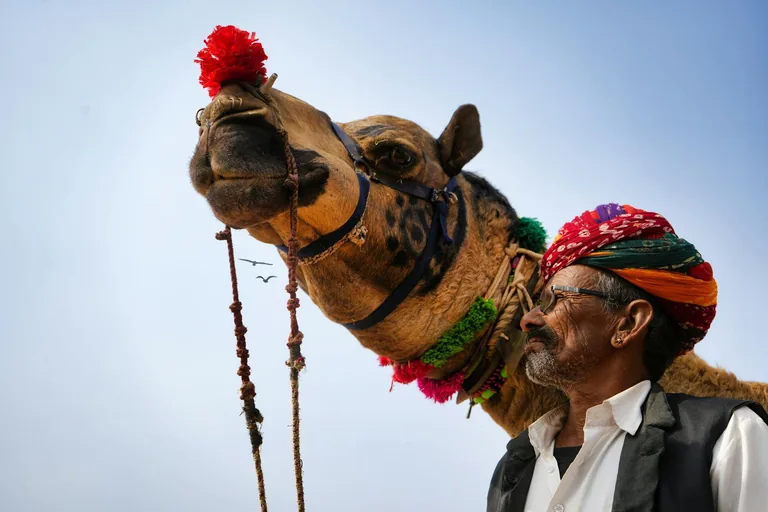 भारत में बारिश का प्राकृतिक दृश्य