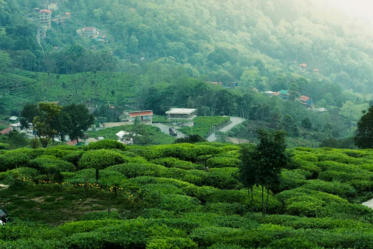 भारतीय ग्रामीण बारिश का प्राकृतिक दृश्य