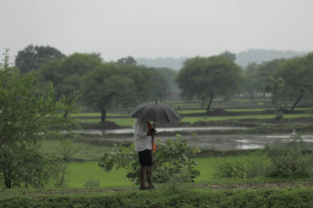 मध्य प्रदेश: कई ज़िलों में बादल-गरज और बारिश का अनुमान; नौतपा के बाद राहत जारी 1 जून 2026